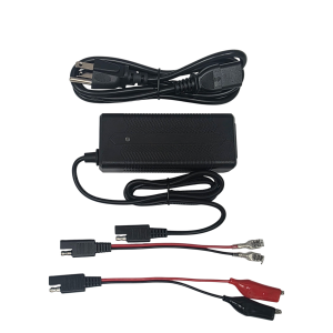 LiFePO4 Lithium Battery  3A Charger